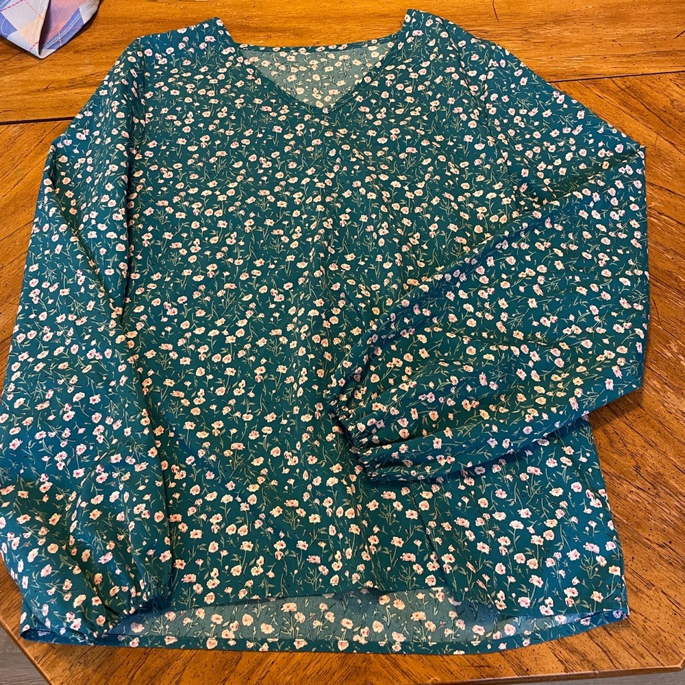 Blue blouse